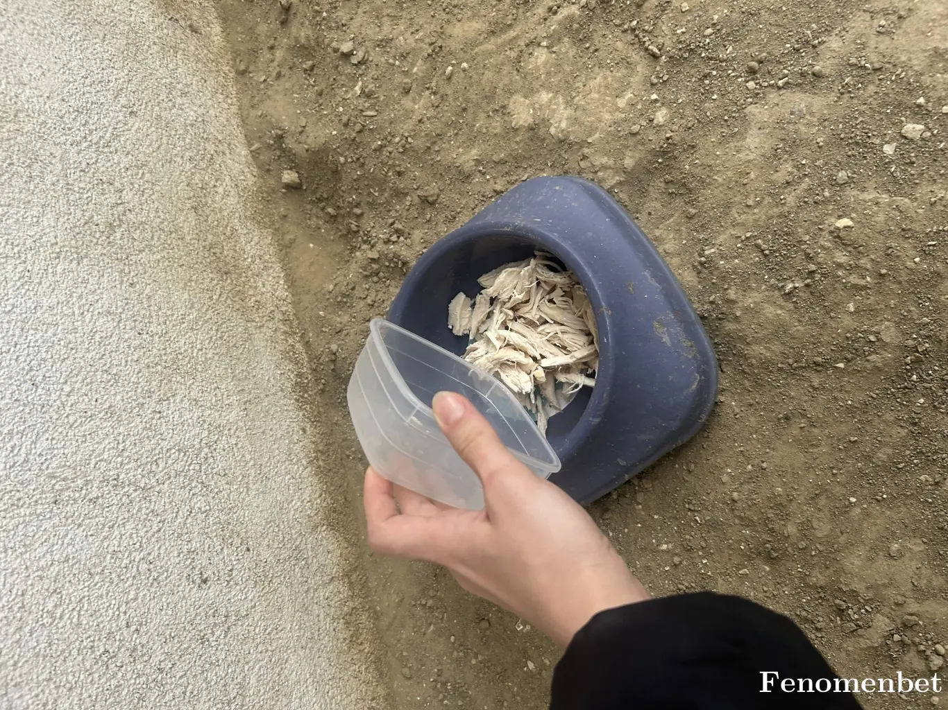 fundamrsl tarafından paylaşılan fotoğraf