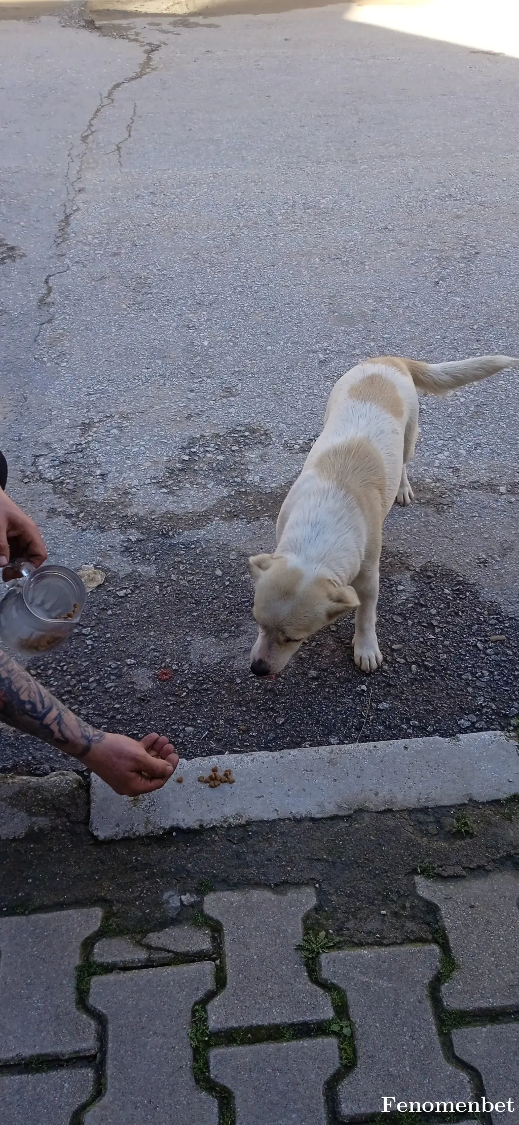 Ozkan1982 tarafından paylaşılan fotoğraf