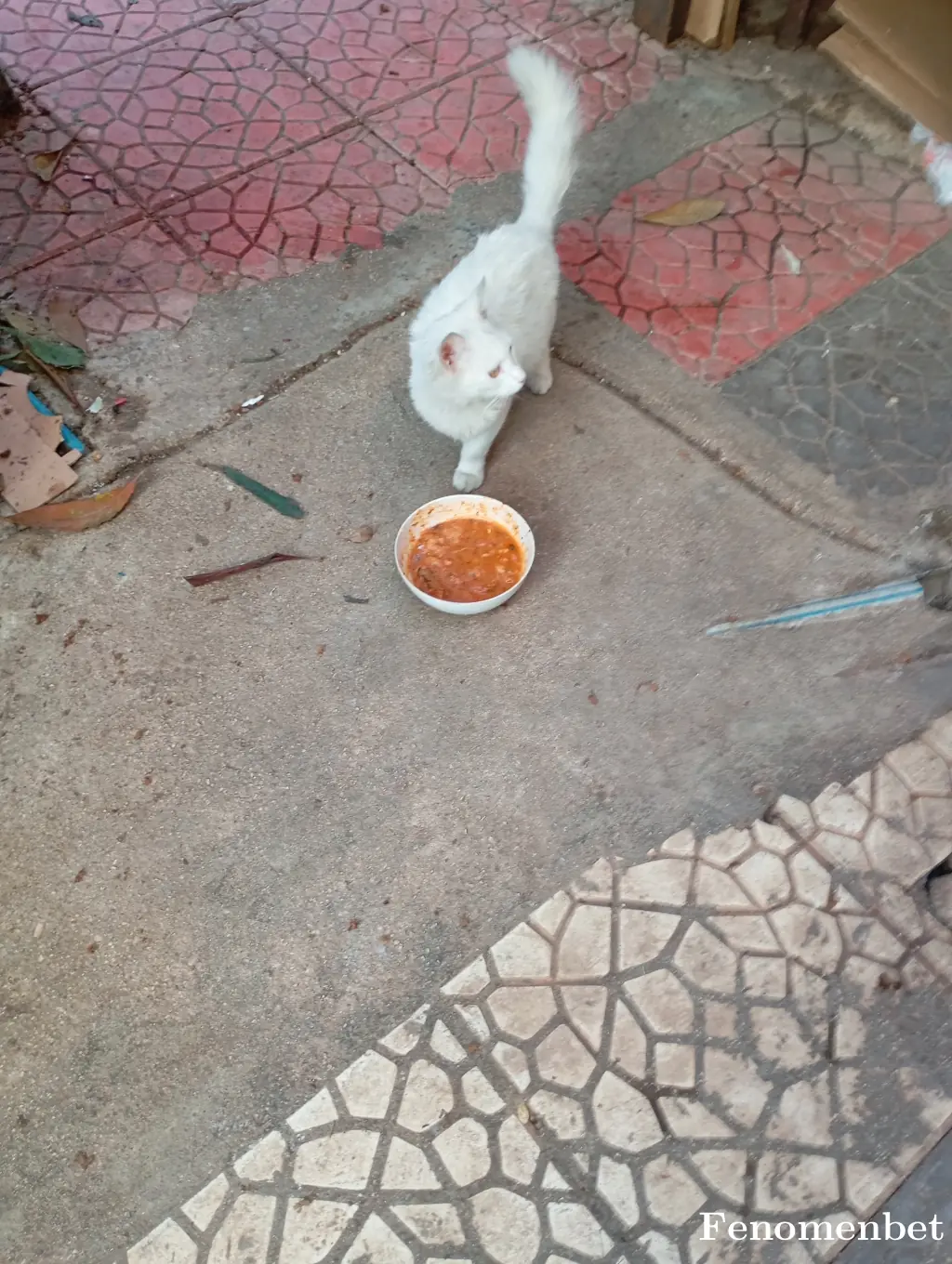 Mehmet_333 tarafından paylaşılan fotoğraf