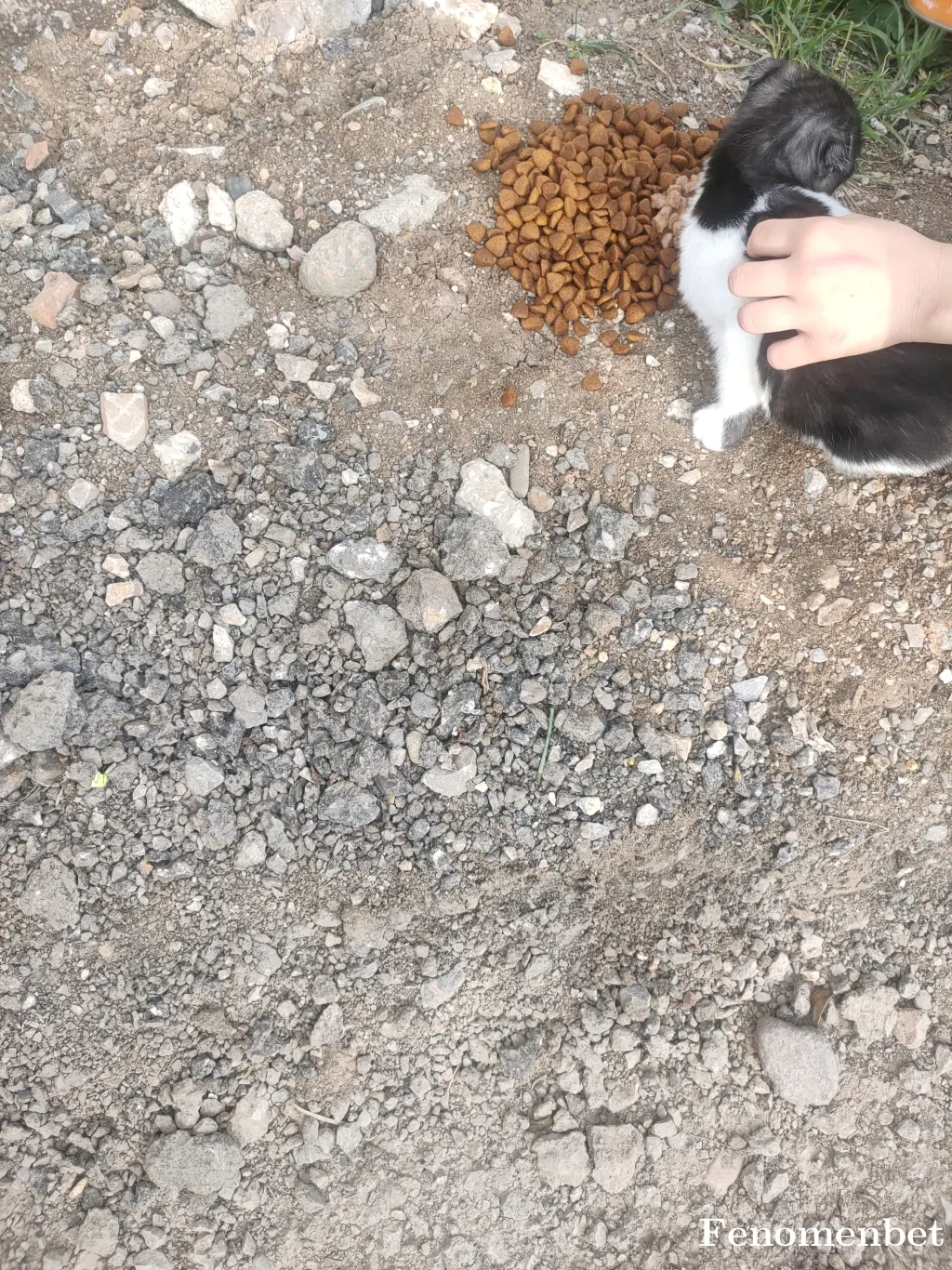 medine0606 tarafından paylaşılan fotoğraf