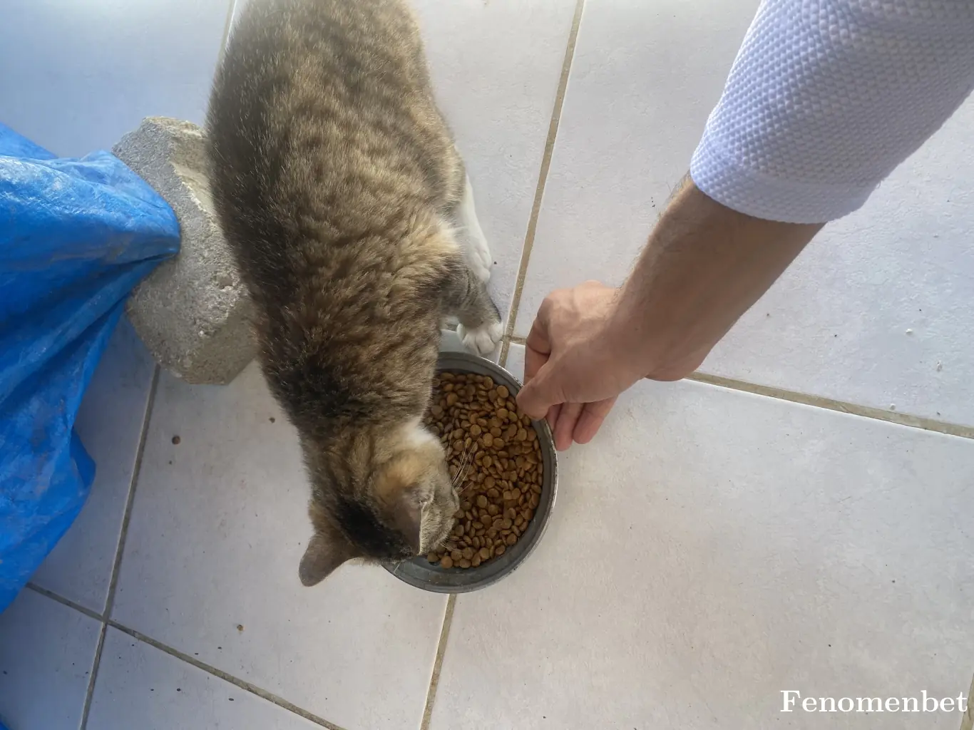 Neon9696 tarafından paylaşılan fotoğraf