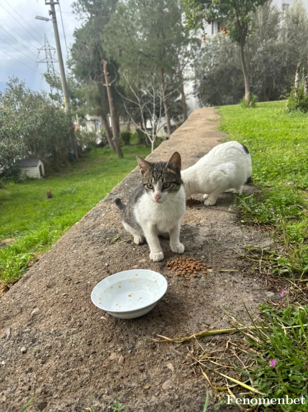 Bacidestroyer tarafından paylaşılan fotoğraf