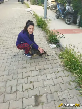 Sokak hayvanı besleme: Kedi sahibi olarak hem kendi oğlum hemde sokaktaki yavrulari beslemek ve korumaktan mutluluk duyuyorum 👍