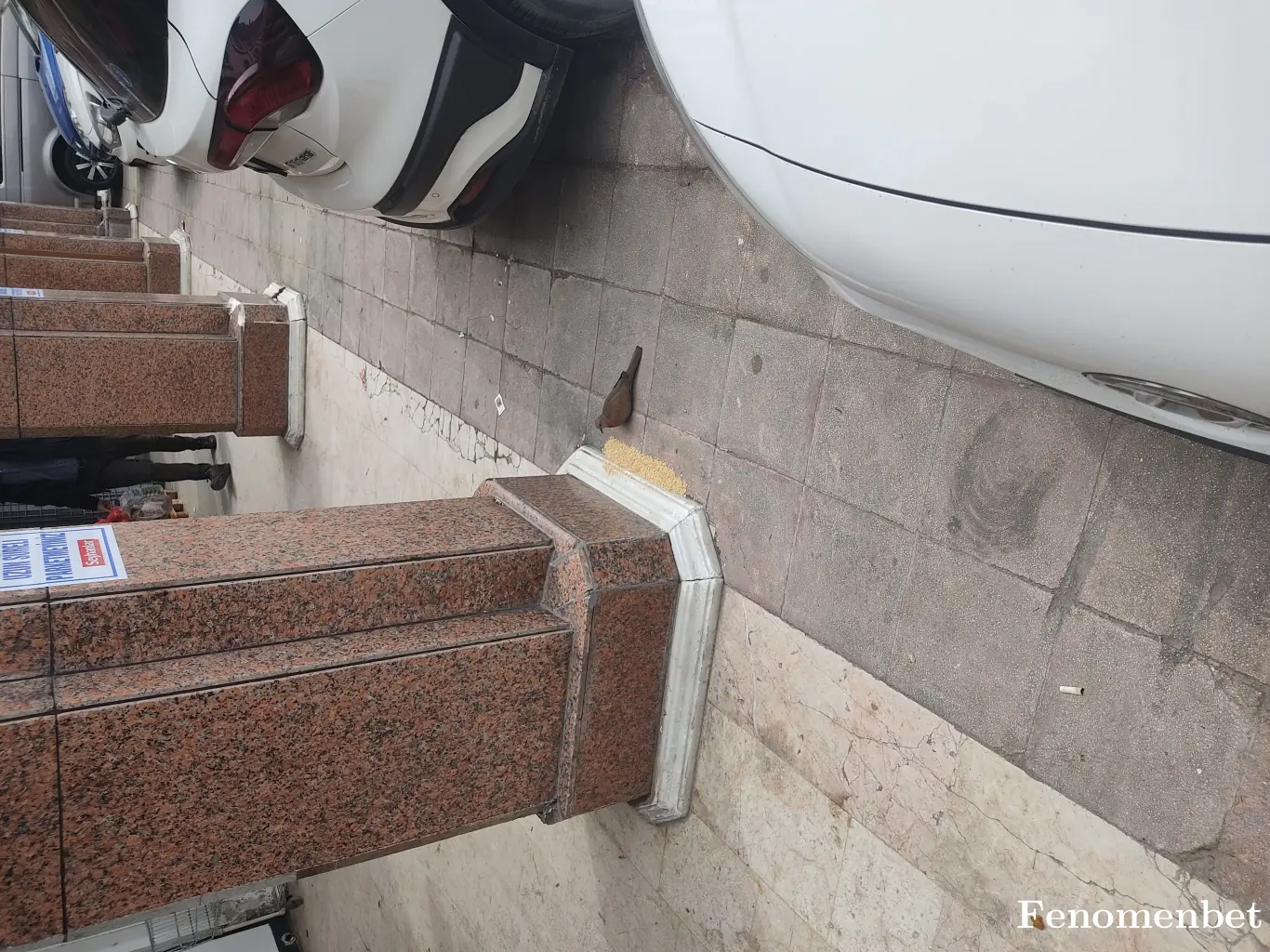 SONSUZZZ tarafından paylaşılan fotoğraf