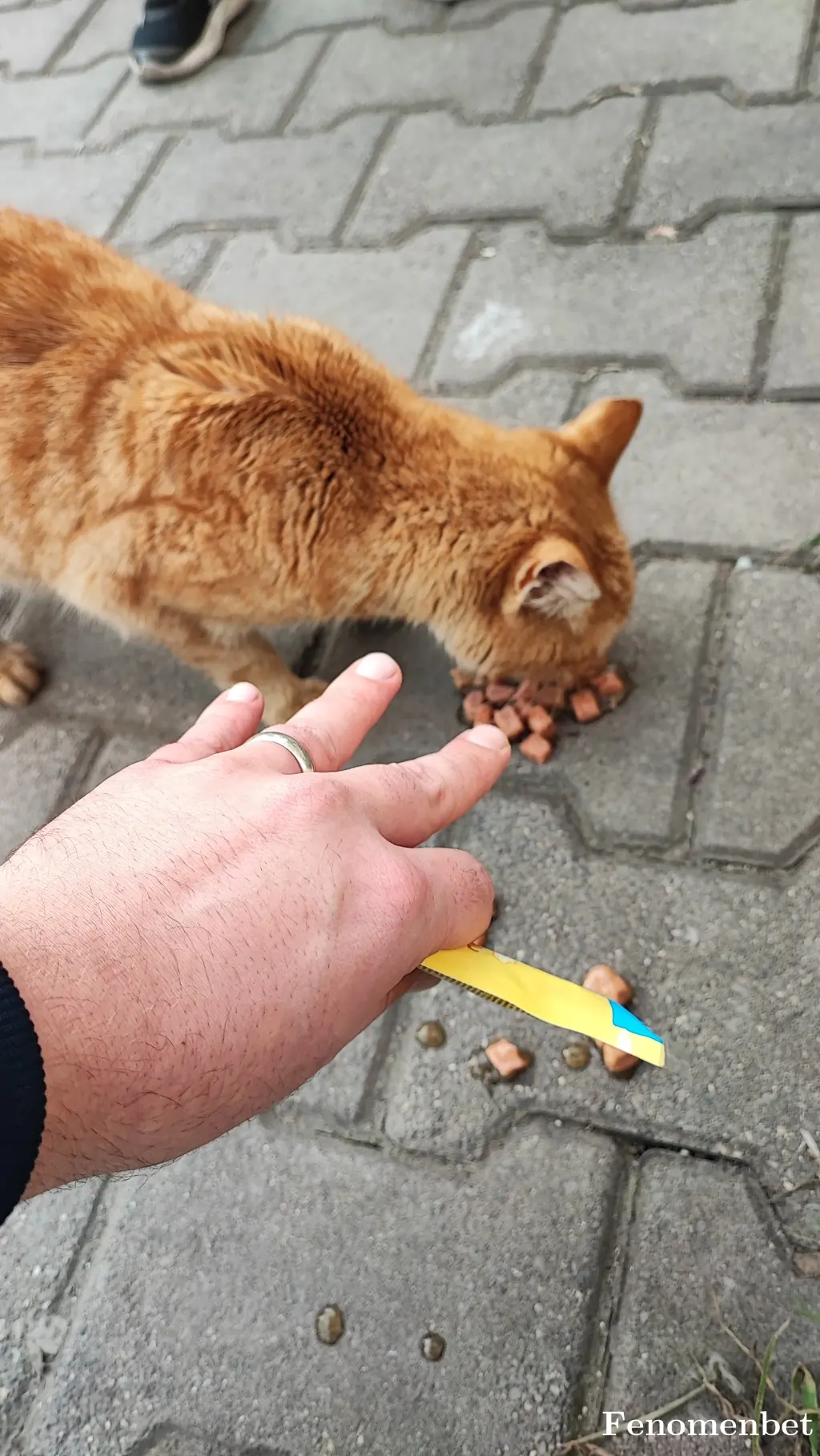 Jasius1 tarafından paylaşılan fotoğraf