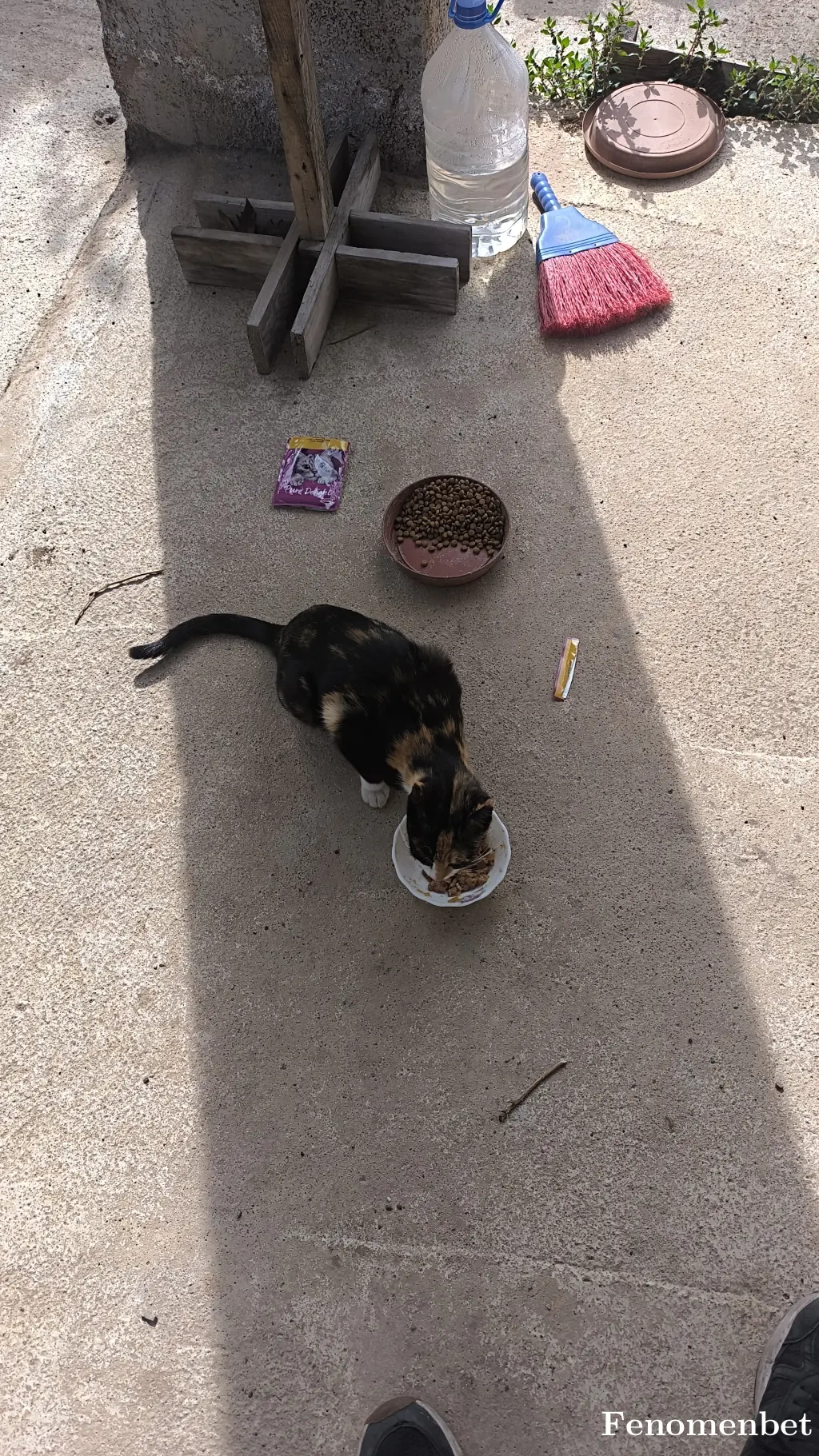 Kakaletaa tarafından paylaşılan fotoğraf