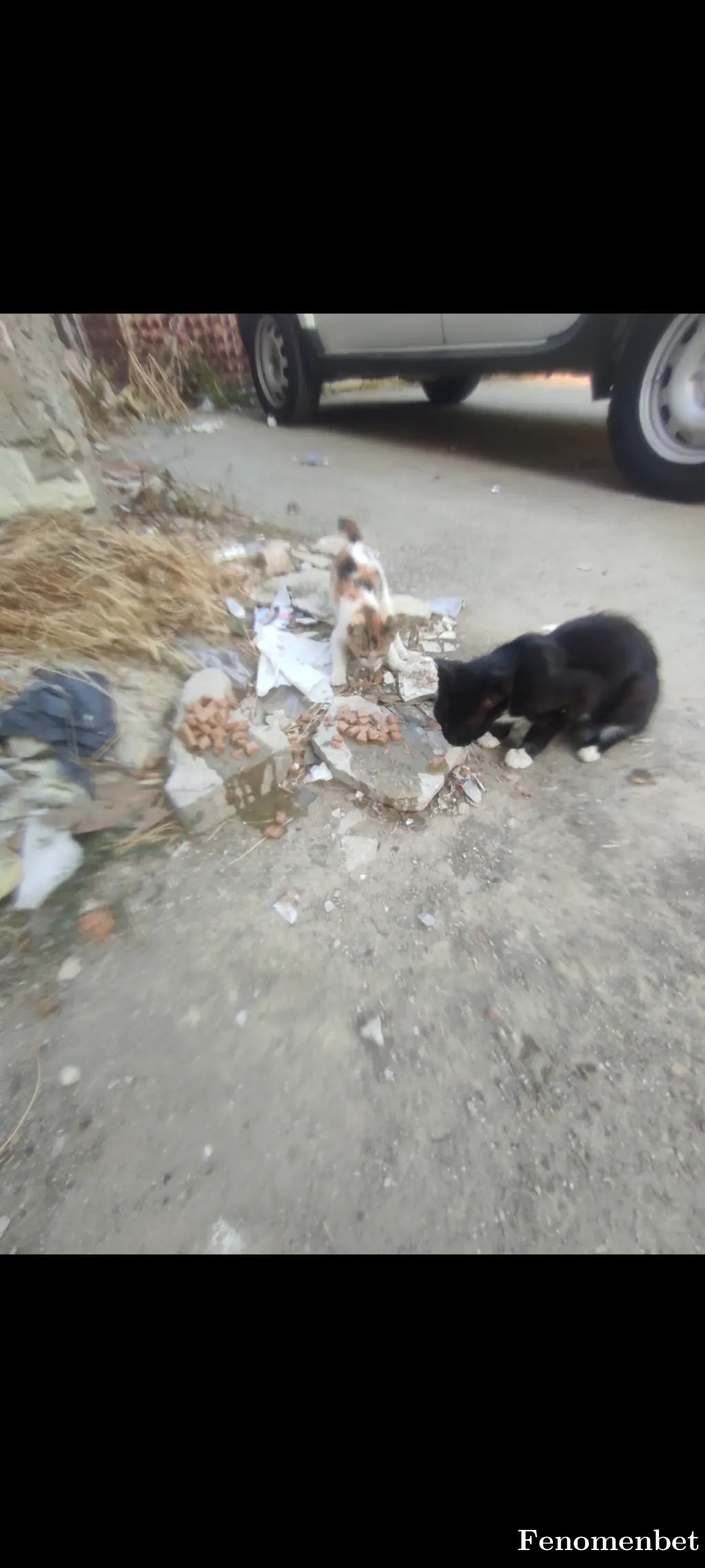 karpuz5231 tarafından paylaşılan fotoğraf