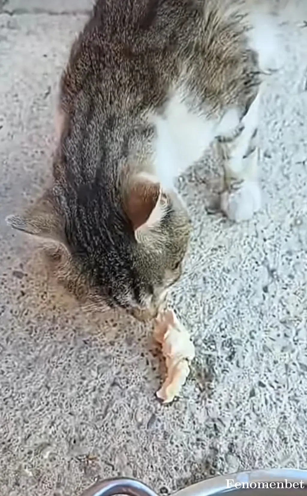 doki167 tarafından paylaşılan fotoğraf