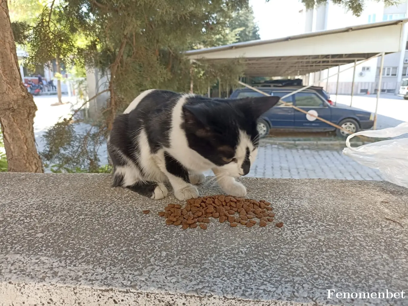 isparta tarafından paylaşılan fotoğraf