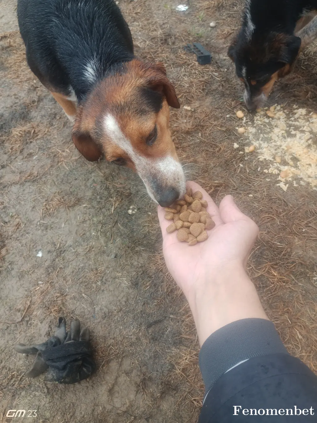 Omer0655 tarafından paylaşılan fotoğraf