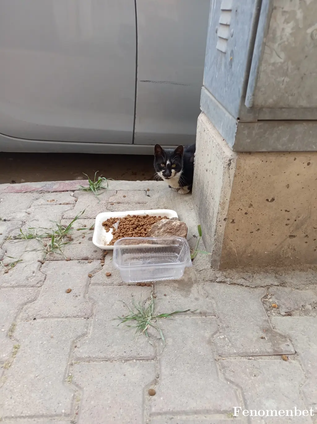 apogkmn07 tarafından paylaşılan fotoğraf