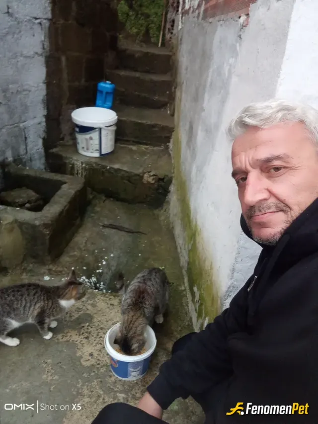 Sokak hayvanı besleme: Yemek verdim sureklıde verıyorum