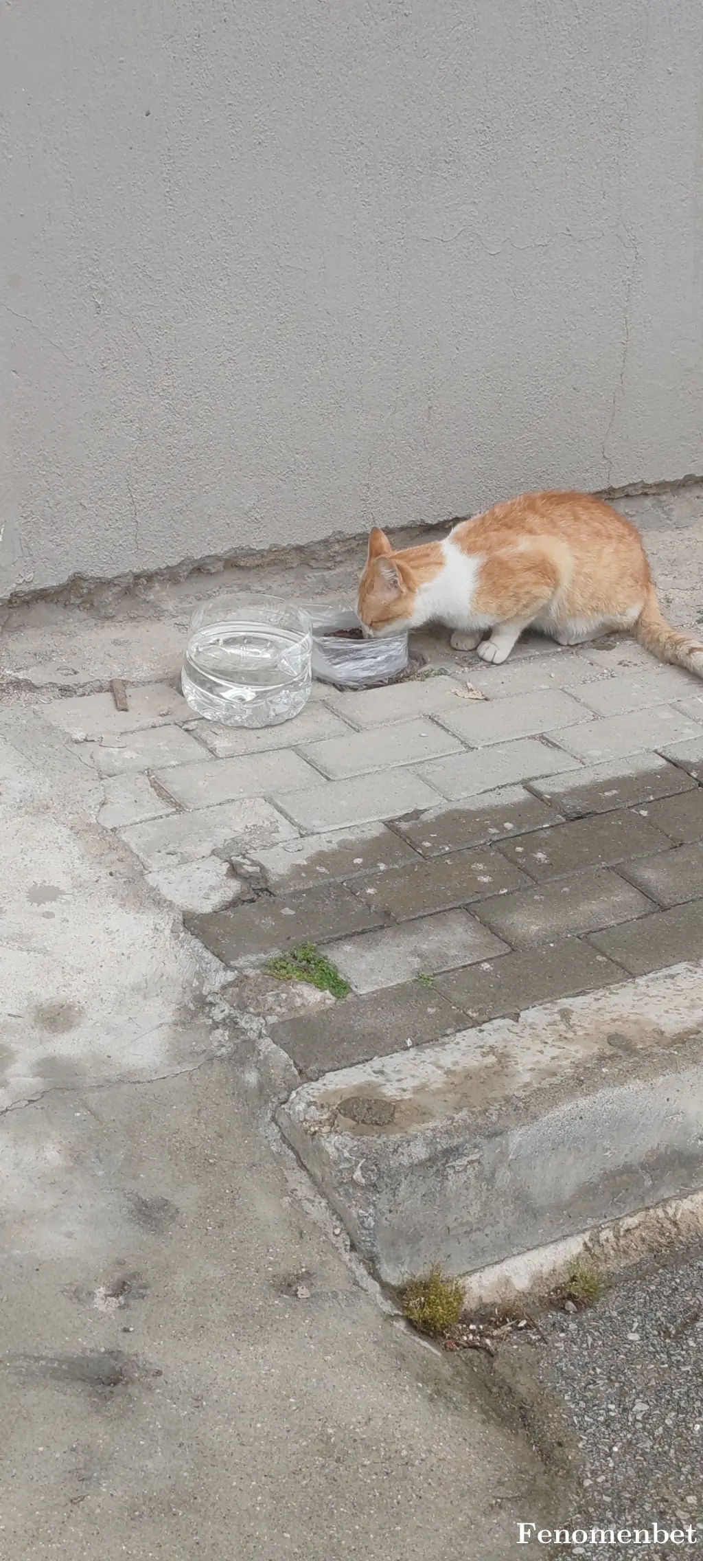 Kadir-84 tarafından paylaşılan fotoğraf