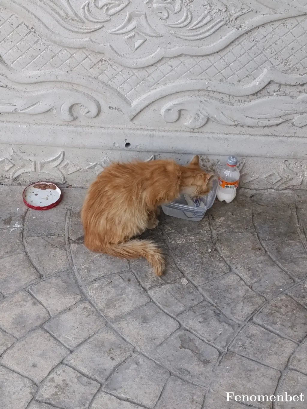 Waveeya1 tarafından paylaşılan fotoğraf