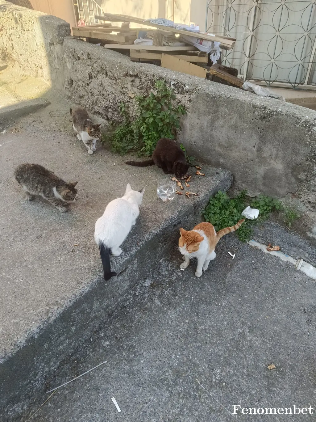 ismetgndgn19 tarafından paylaşılan fotoğraf