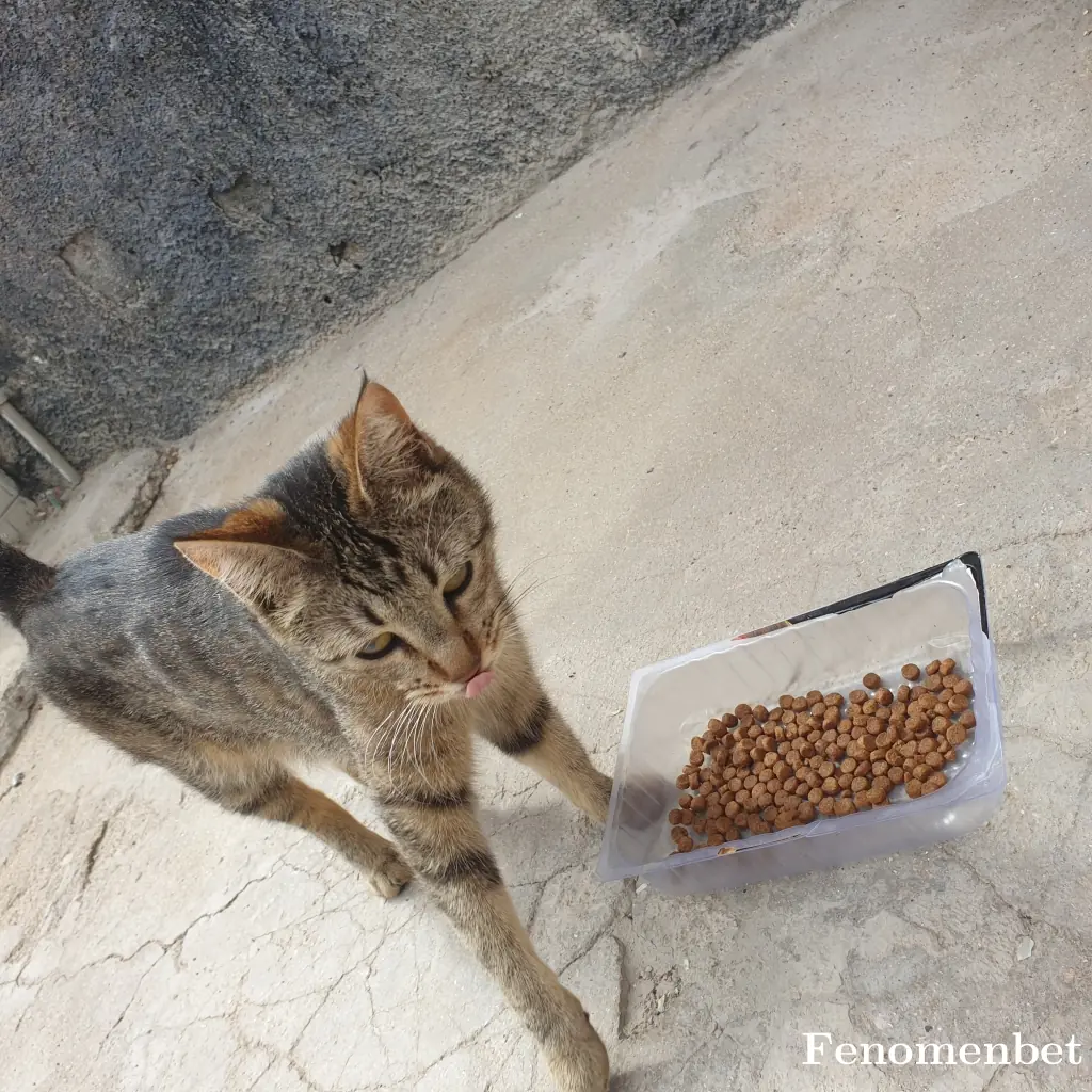 deliiixxxx tarafından paylaşılan fotoğraf