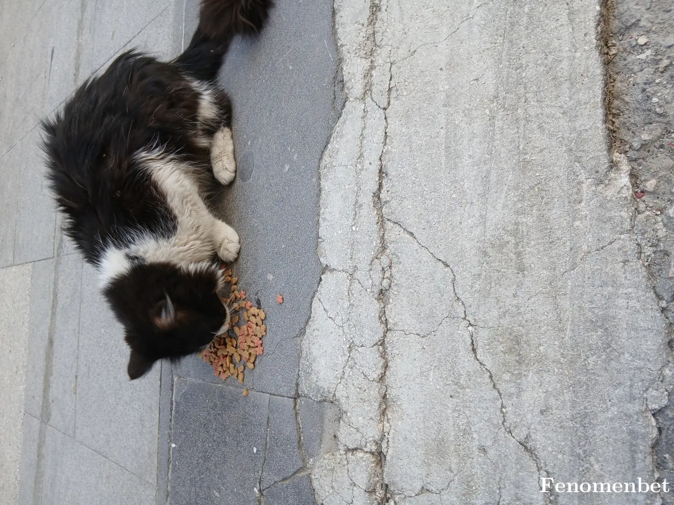Atilla009 tarafından paylaşılan fotoğraf