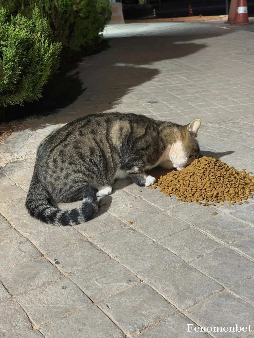 Marko46 tarafından paylaşılan fotoğraf