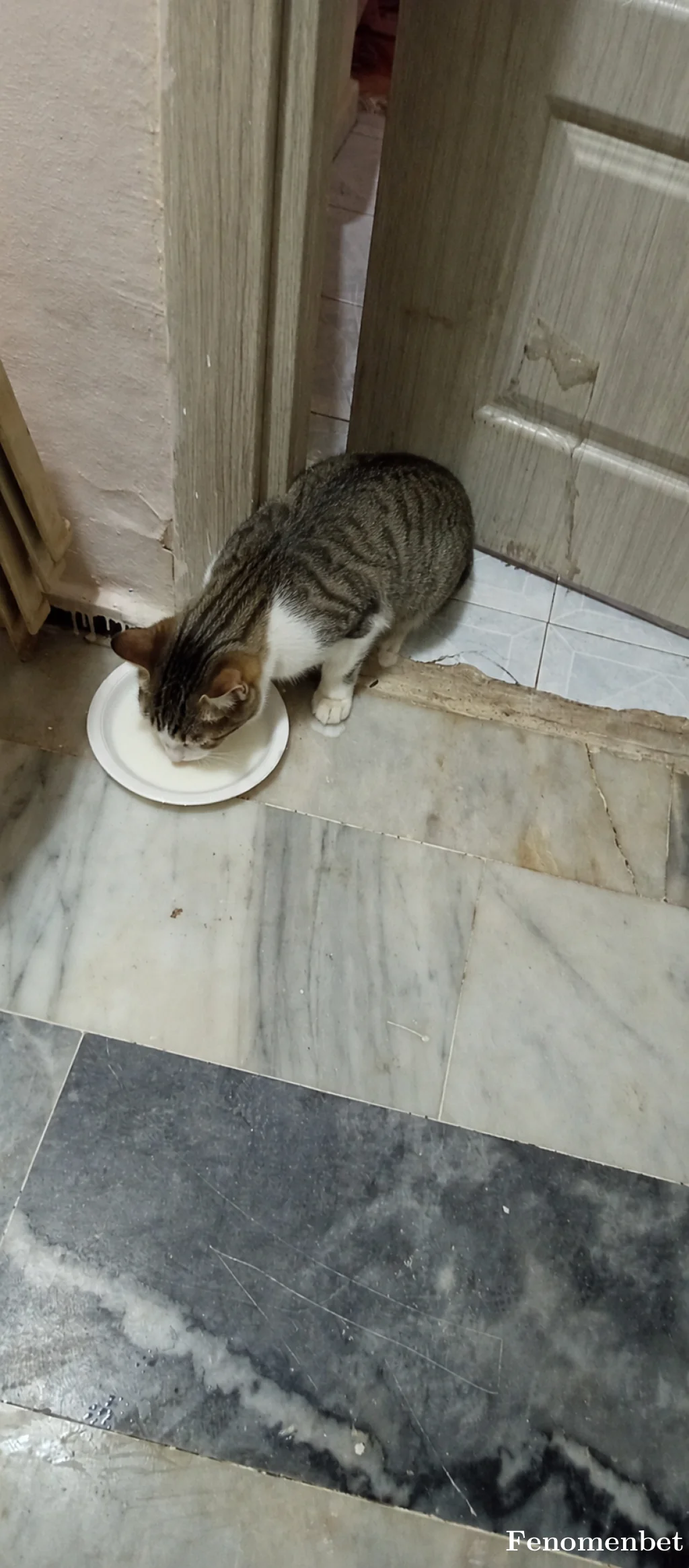Ahmetela27  tarafından paylaşılan fotoğraf
