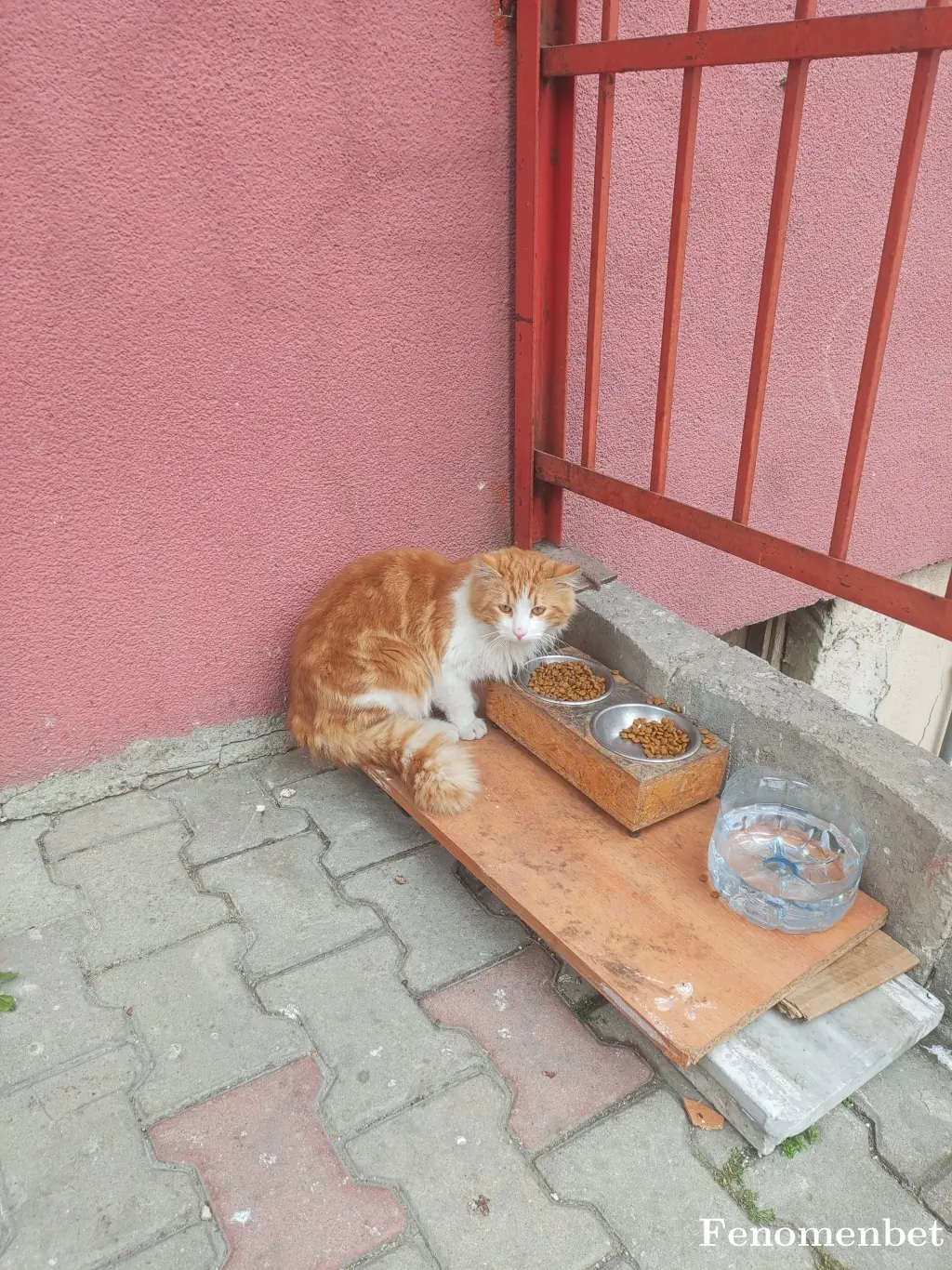 Malatyamemo44 tarafından paylaşılan fotoğraf