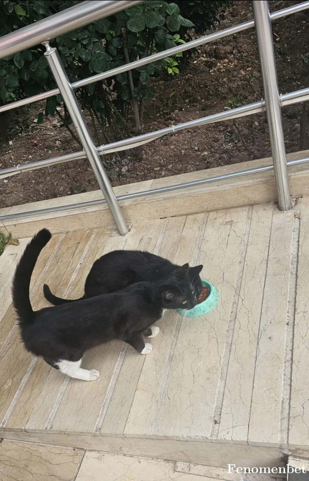 BjkoLiq tarafından paylaşılan fotoğraf