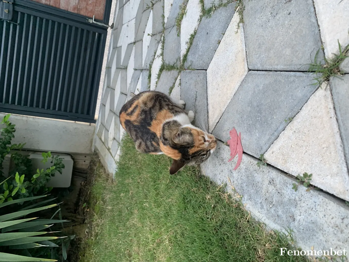 raulfurkan tarafından paylaşılan fotoğraf