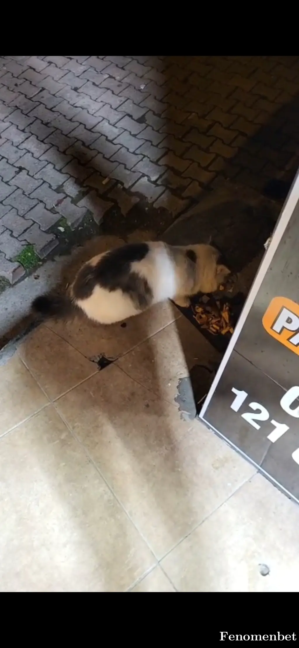 ggizem tarafından paylaşılan fotoğraf