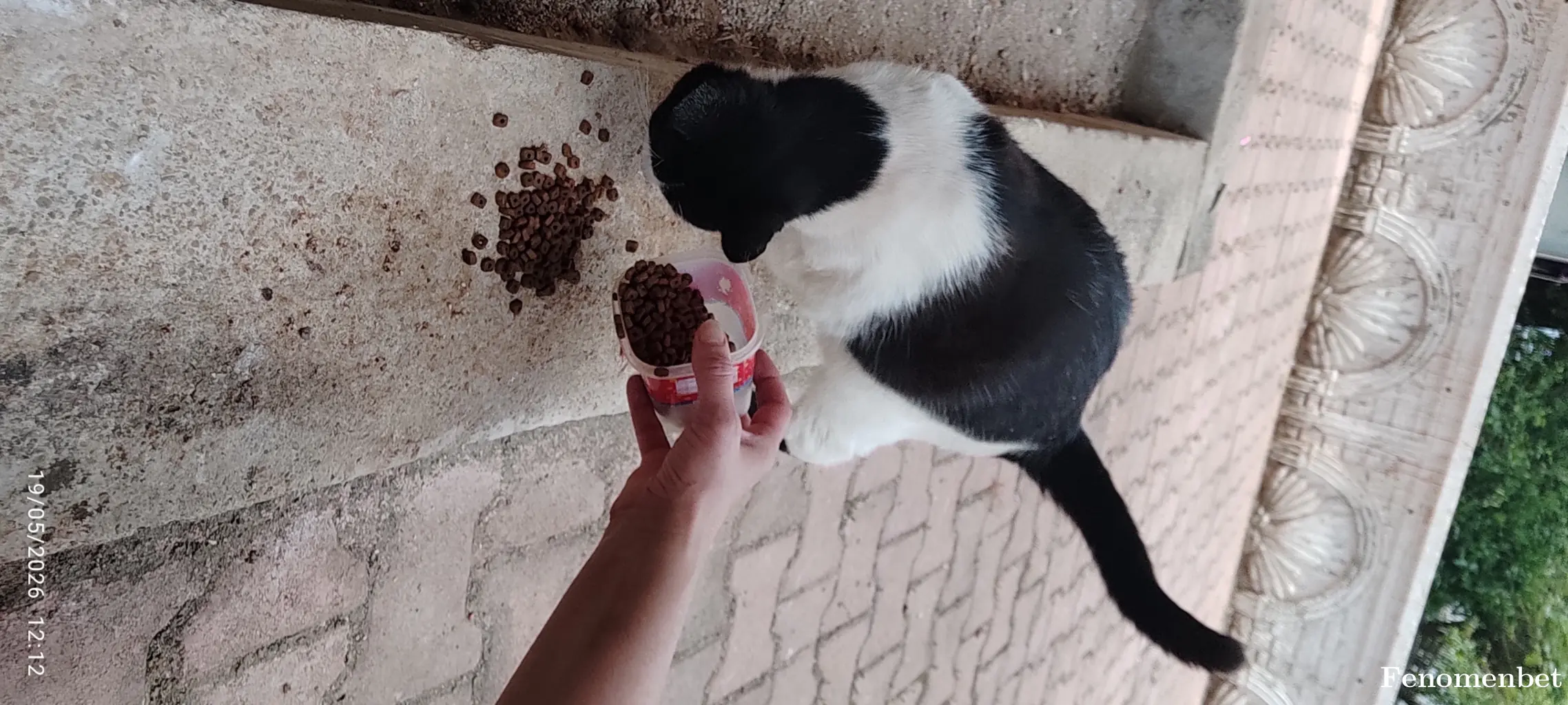 Cilek007 tarafından paylaşılan fotoğraf