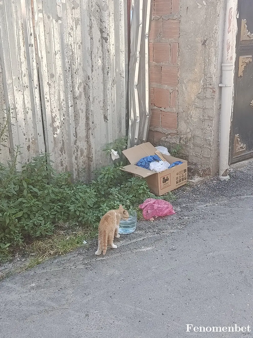 Sametozkannn tarafından paylaşılan fotoğraf