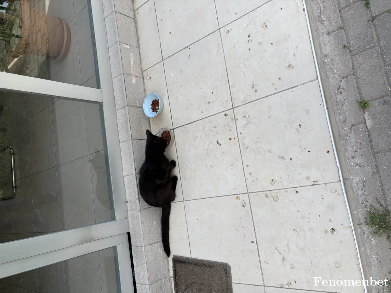 oozbil tarafından paylaşılan fotoğraf