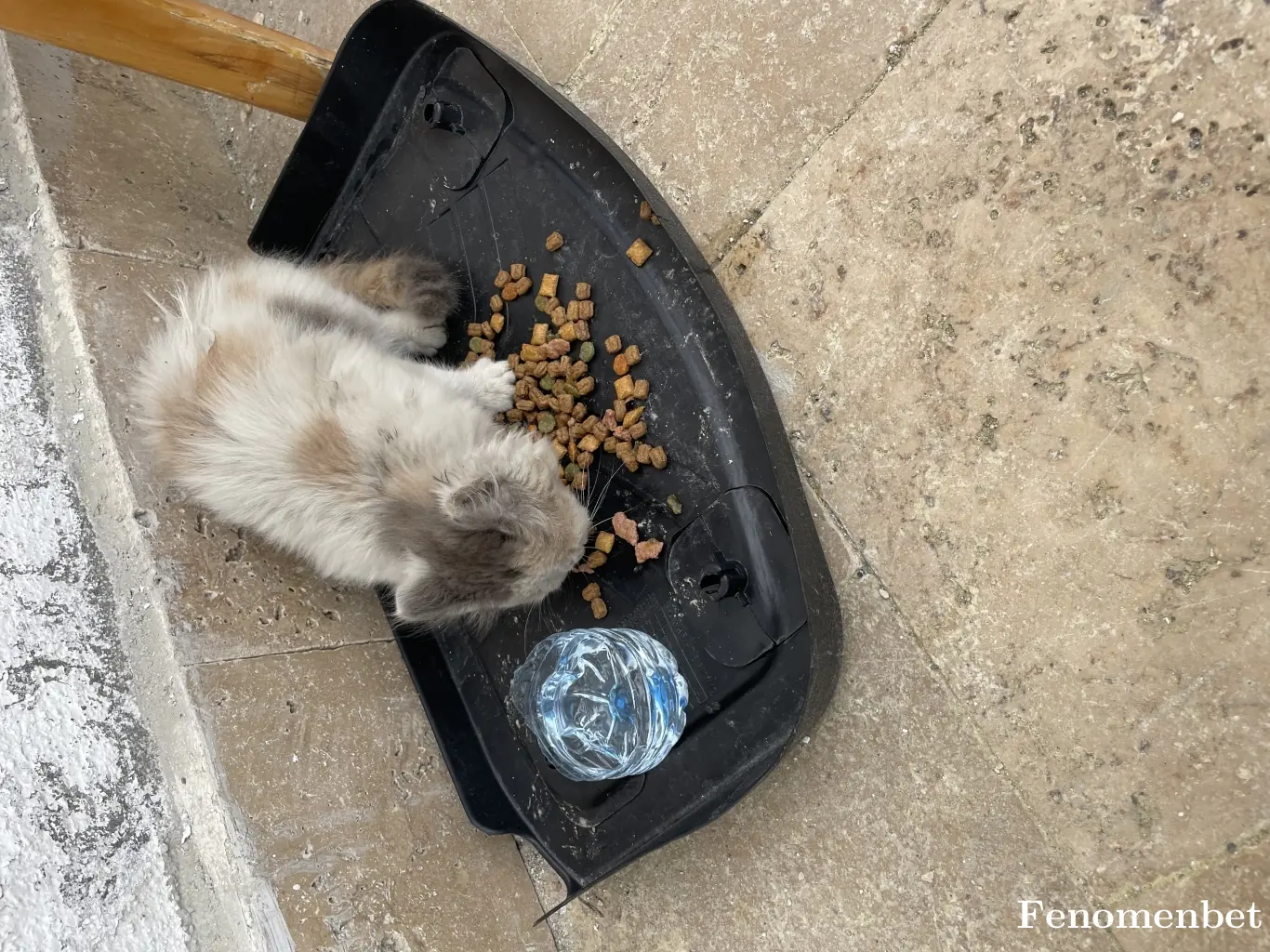 Cain17 tarafından paylaşılan fotoğraf