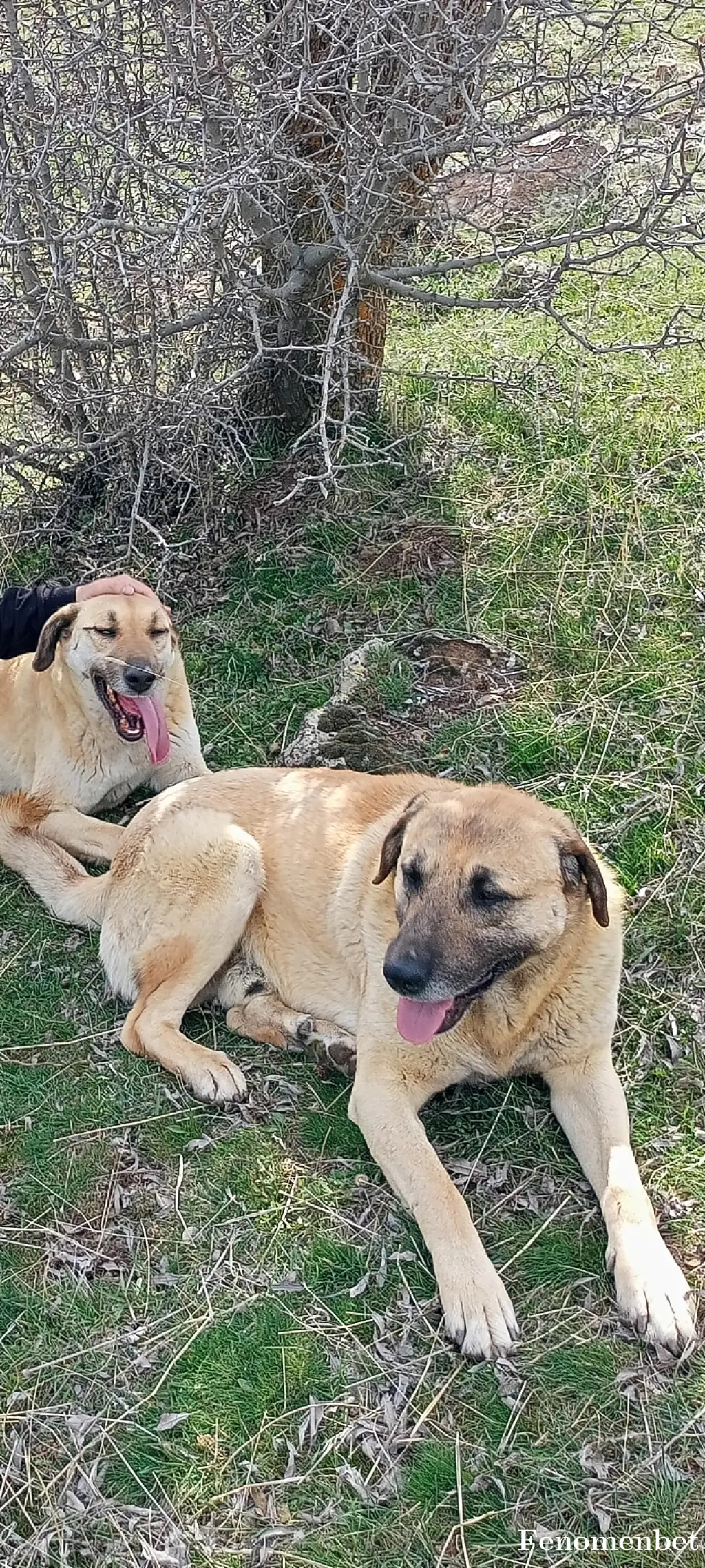 Kirat51 tarafından paylaşılan fotoğraf