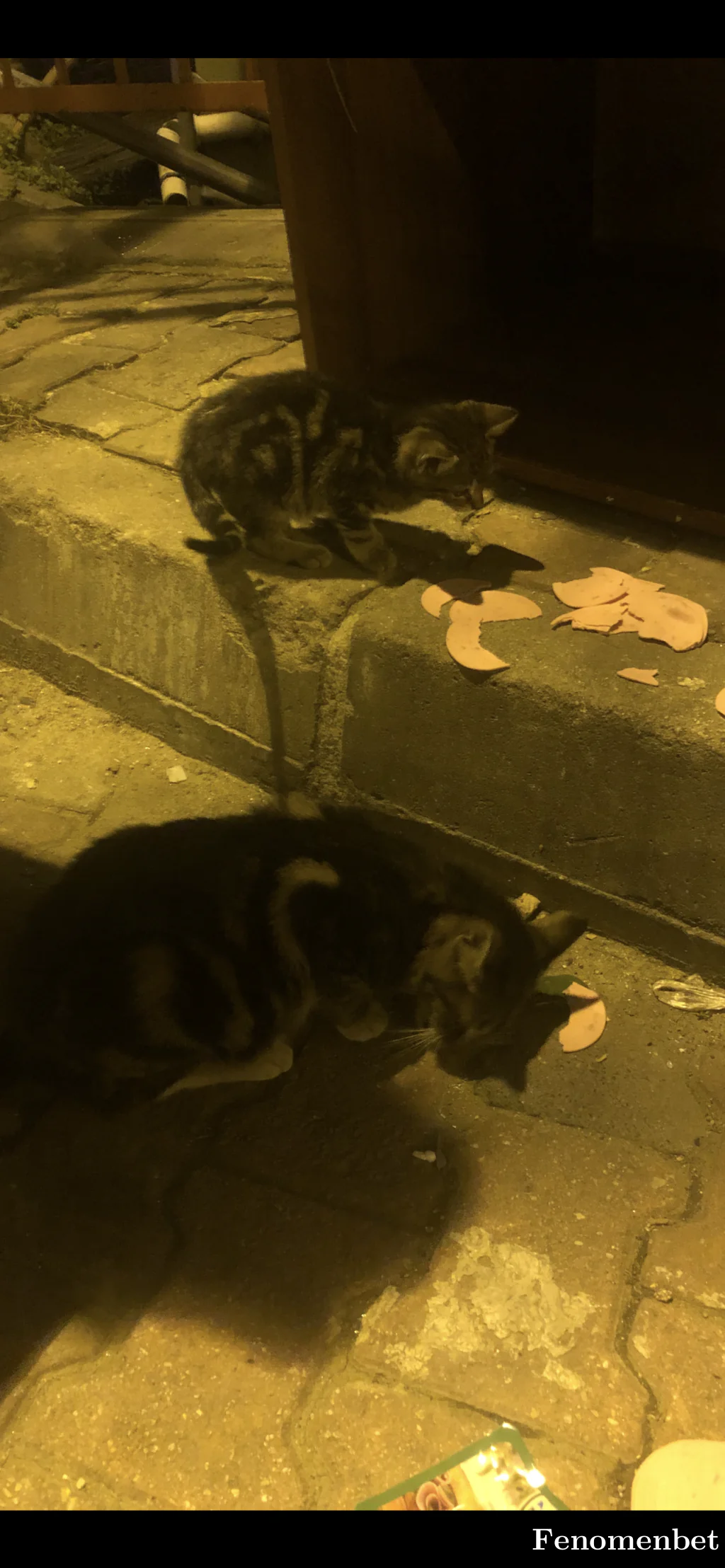 Umutkaplan tarafından paylaşılan fotoğraf