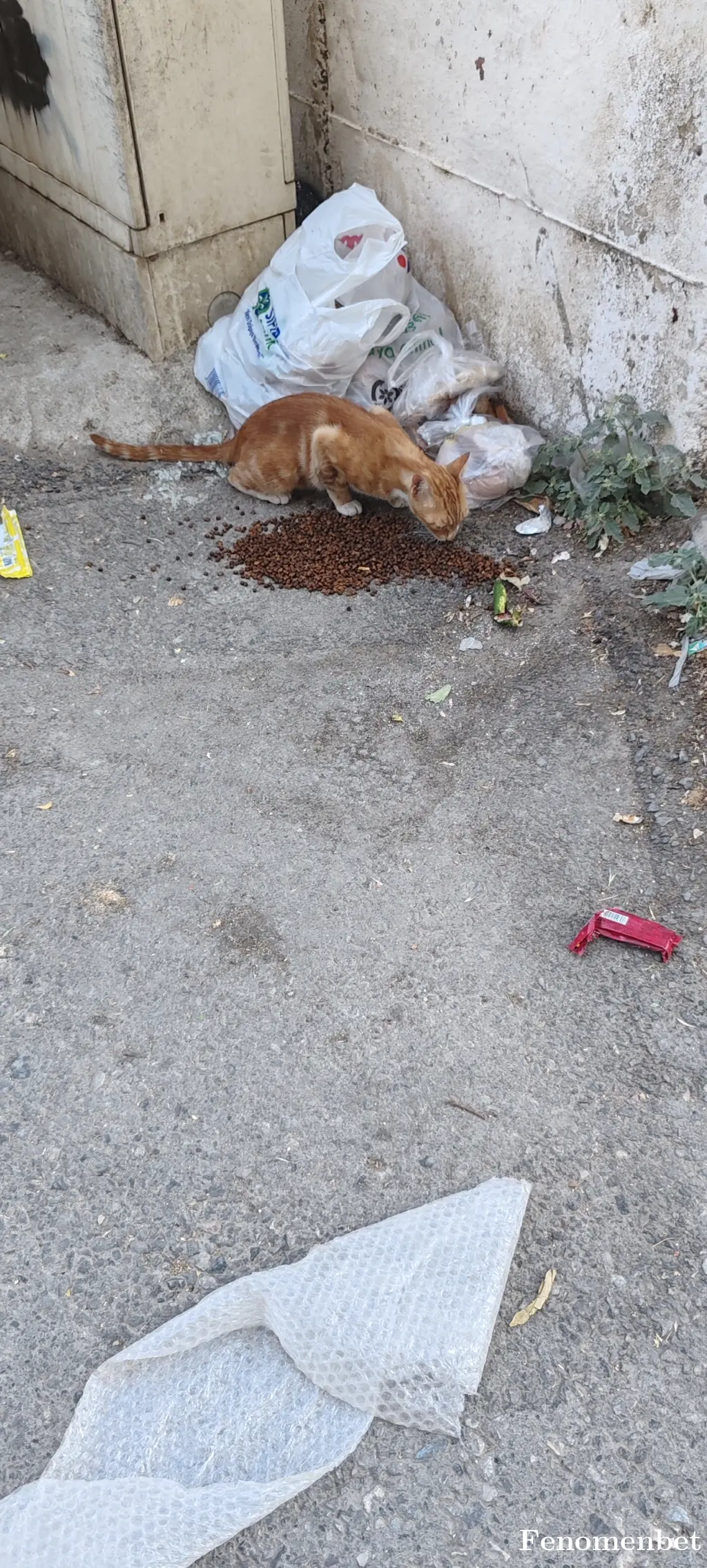 Kadir-84  tarafından paylaşılan fotoğraf