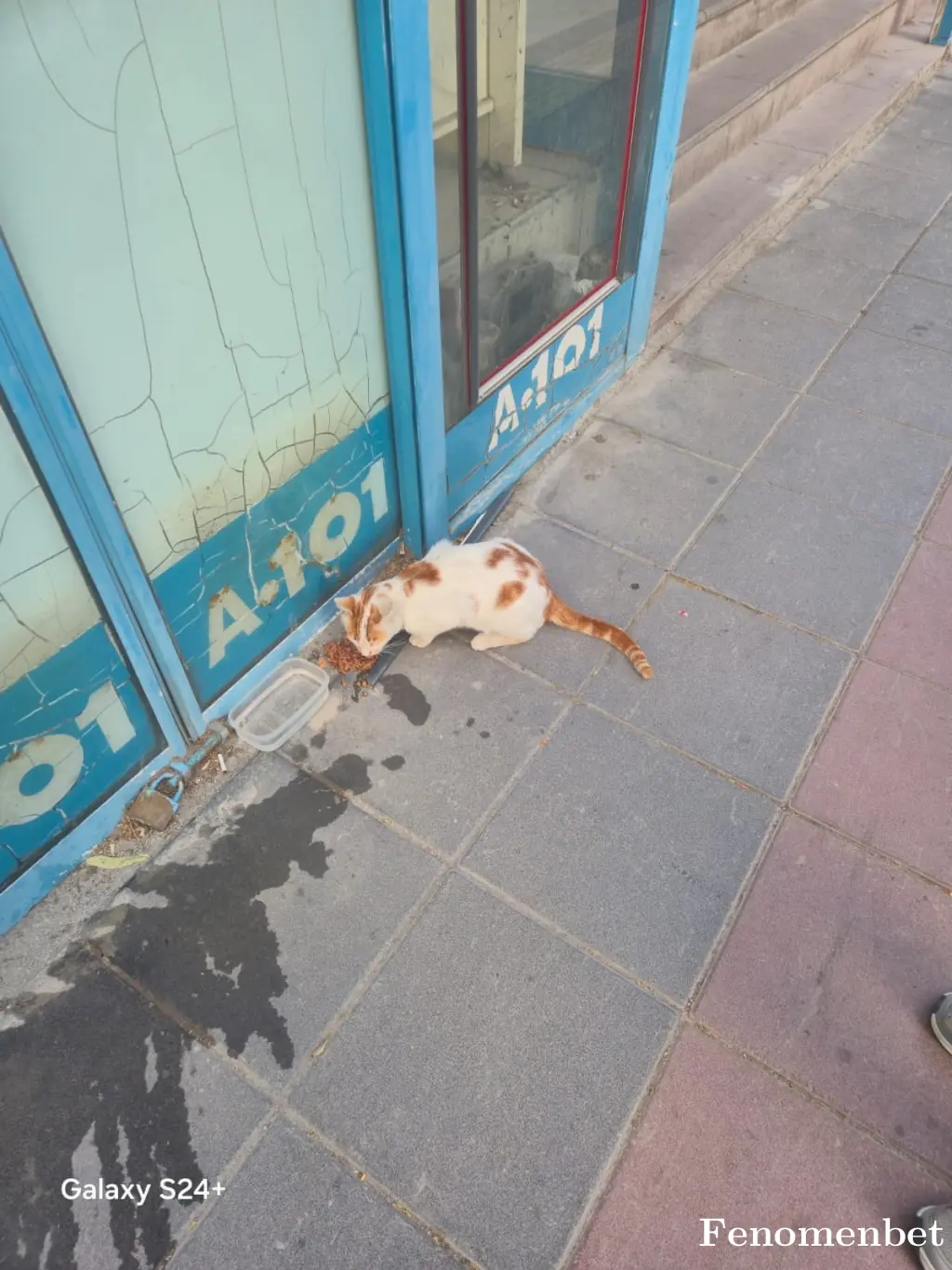 Mlbbgorkem tarafından paylaşılan fotoğraf