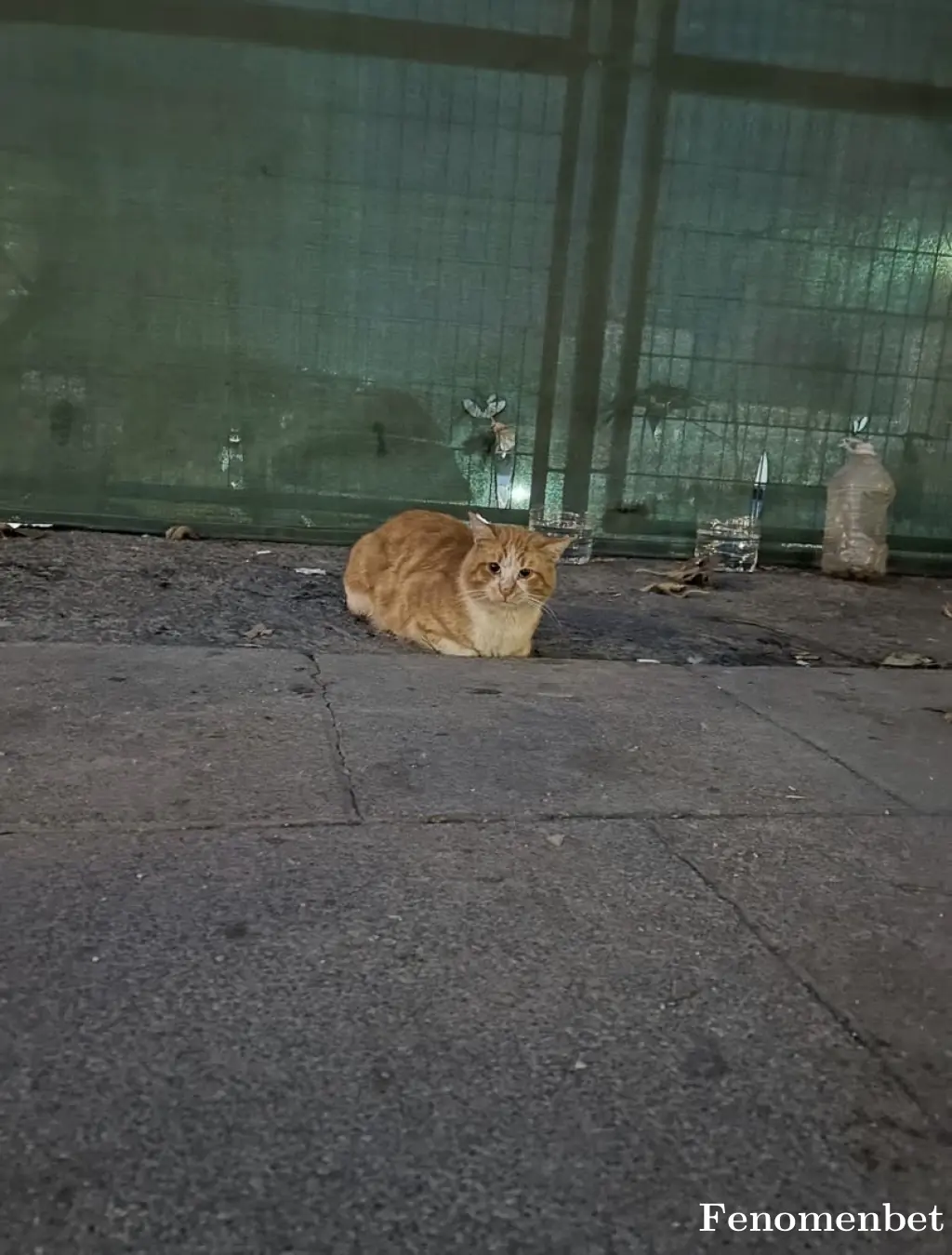 Hb060606 tarafından paylaşılan fotoğraf