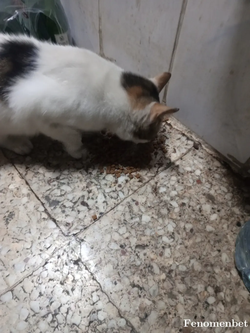 oguzhanhoca  tarafından paylaşılan fotoğraf