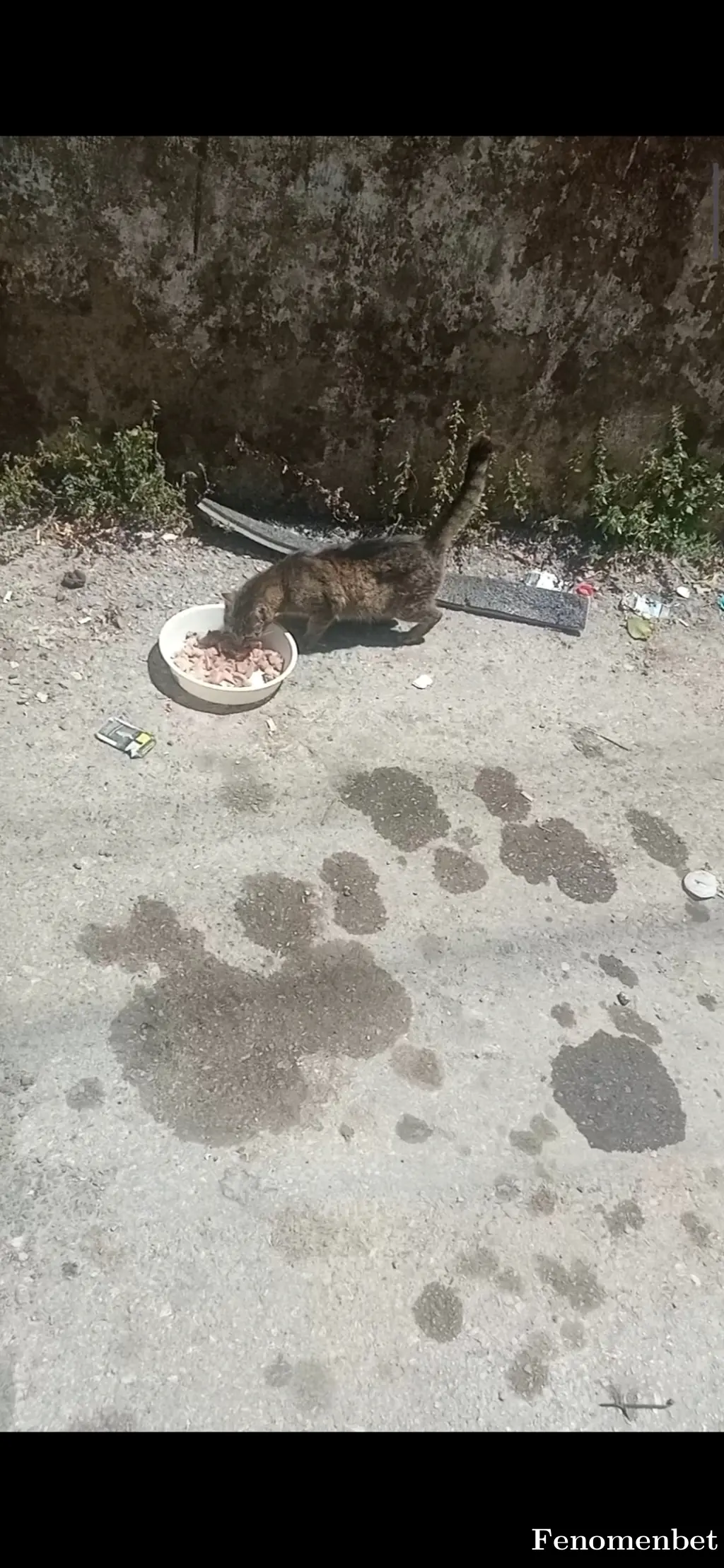 Uzmann35 tarafından paylaşılan fotoğraf