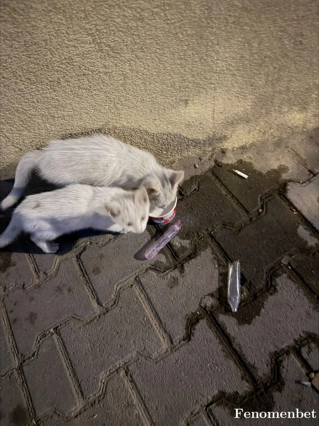 Furkan2165 tarafından paylaşılan fotoğraf