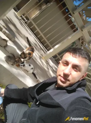 Sokak hayvanı besleme: #Fenomenbet
Bu sıcak havalarda sokaktaki canlarımız için bir kap su, mama bırakmayı ihmal etmeyin..