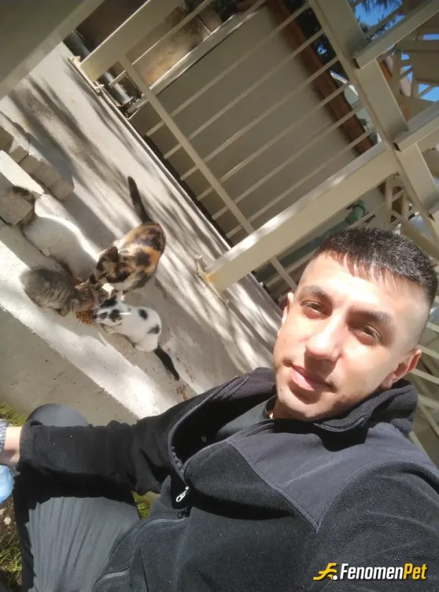 Sokak hayvanı besleme: #Fenomenbet
Bu sıcak havalarda sokaktaki canlarımız için bir kap su, mama bırakmayı ihmal etmeyin..
