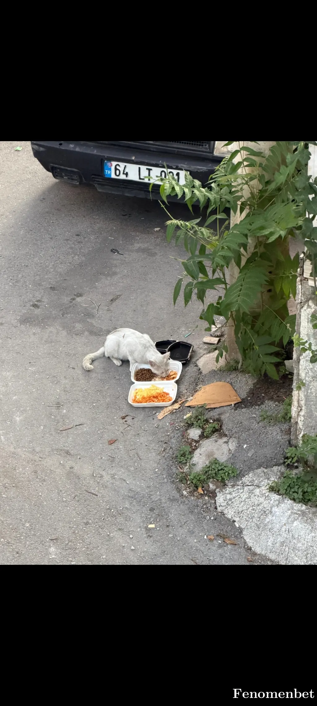 Ipek35 tarafından paylaşılan fotoğraf