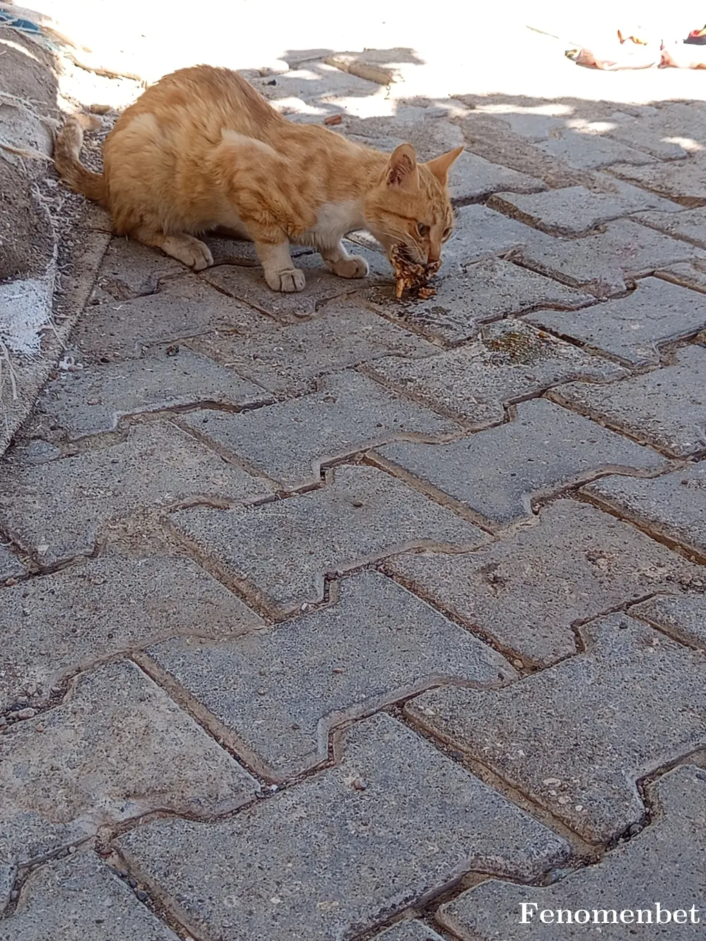ismail123 tarafından paylaşılan fotoğraf