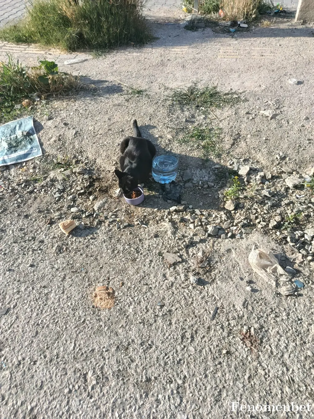 Sedat06  tarafından paylaşılan fotoğraf