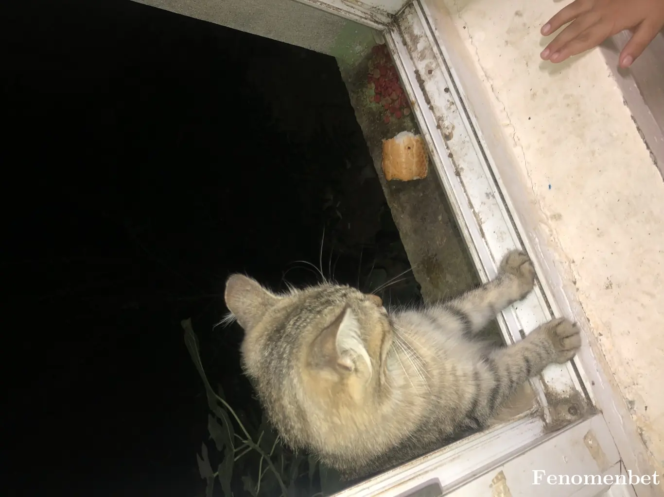 gulten22 tarafından paylaşılan fotoğraf