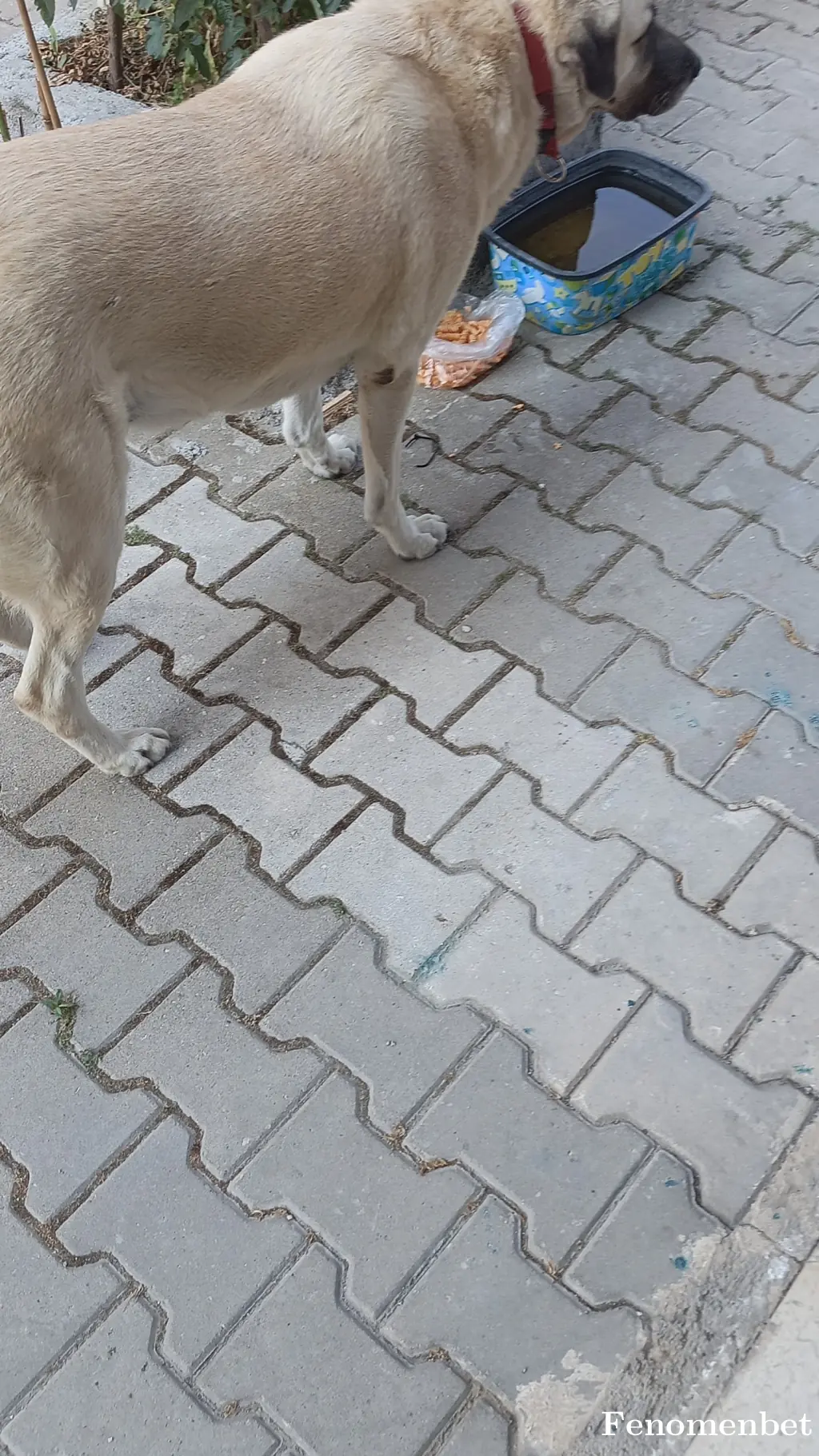 Selcuk20 tarafından paylaşılan fotoğraf