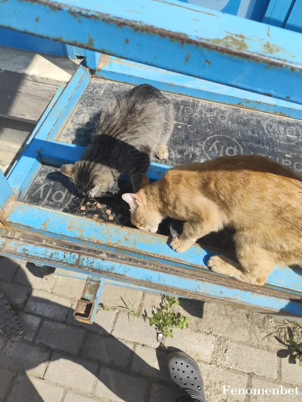 tarco16tr tarafından paylaşılan fotoğraf