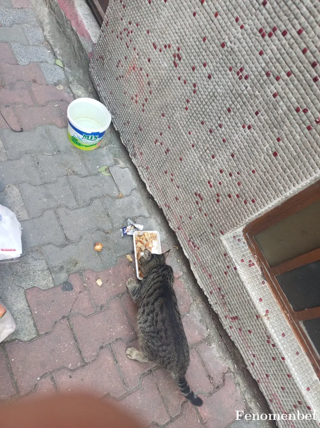 Bybilen123 tarafından paylaşılan fotoğraf