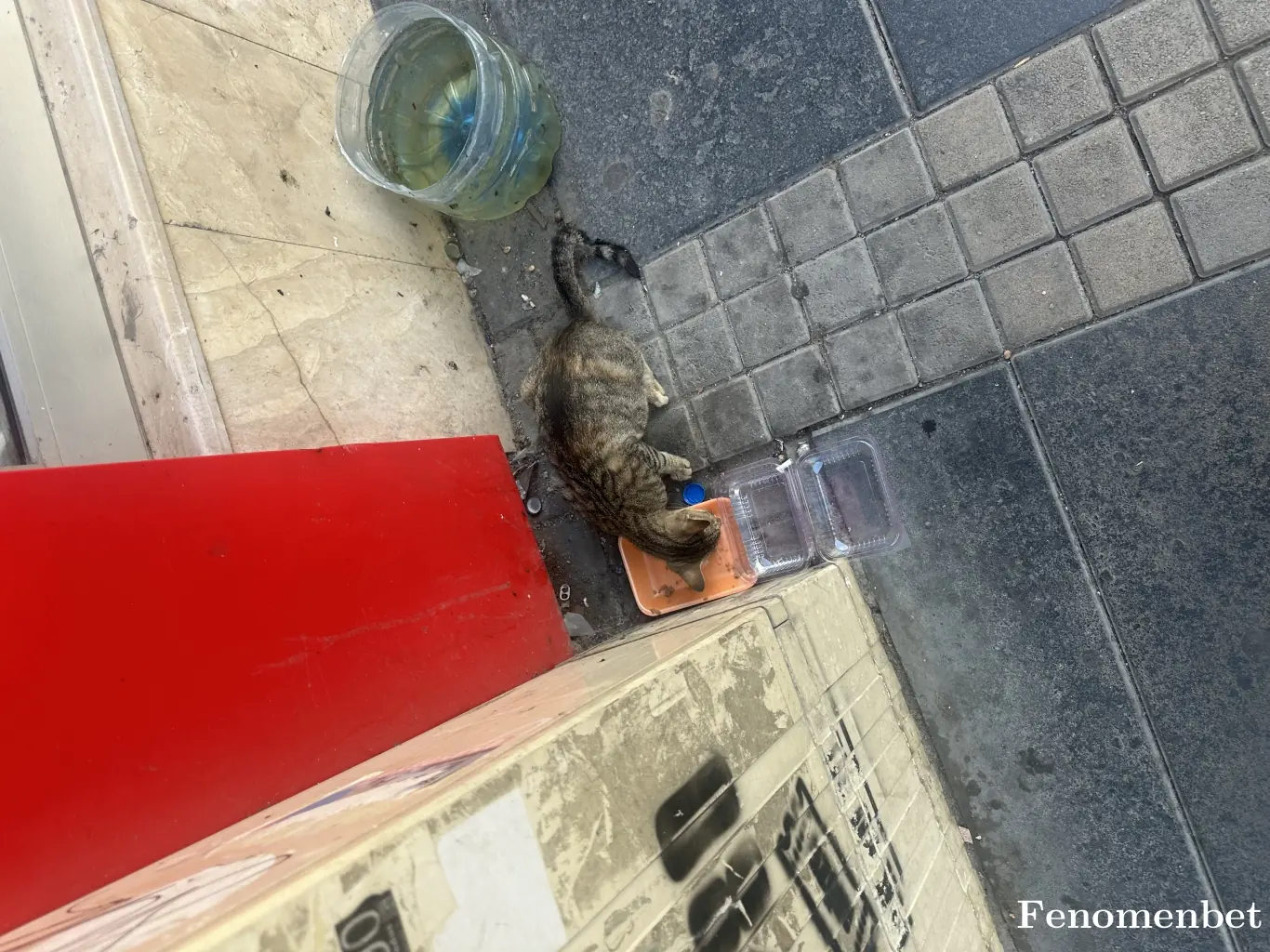 Kbra5552 tarafından paylaşılan fotoğraf
