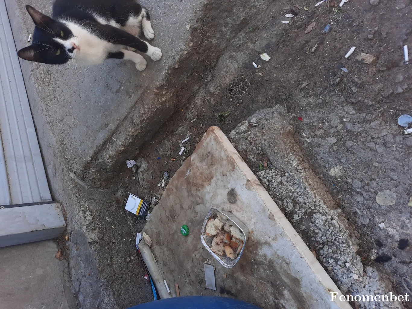 Kehribar7  tarafından paylaşılan fotoğraf